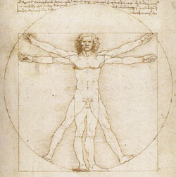 Da-Vinci-Man.jpg