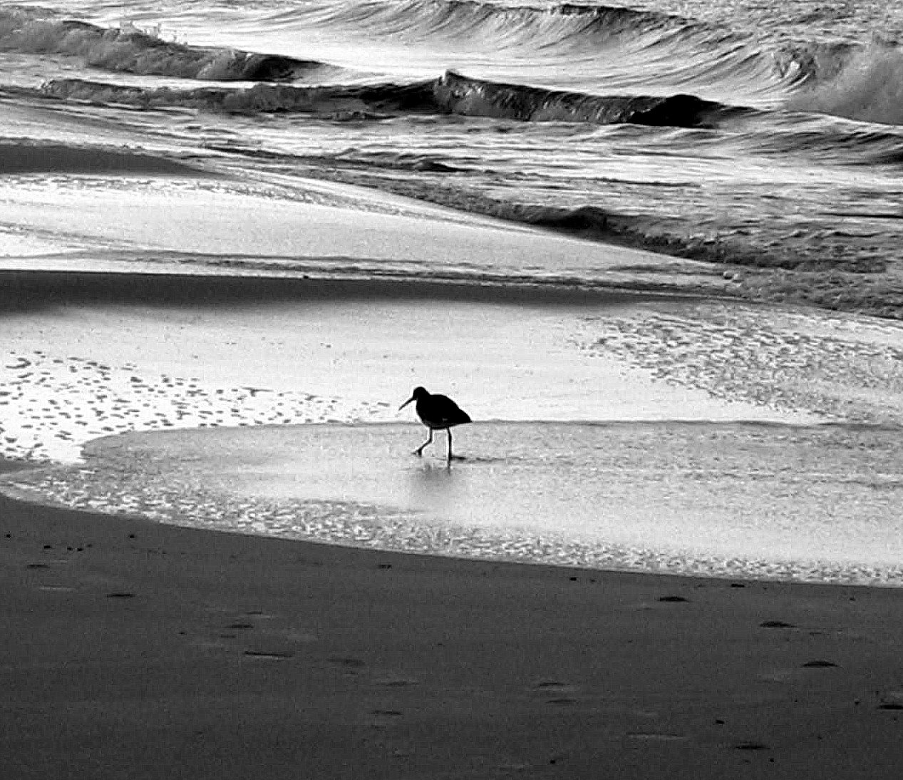 breakfast-seagrove-beach.jpg