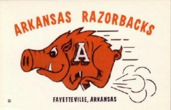 razorback postcard